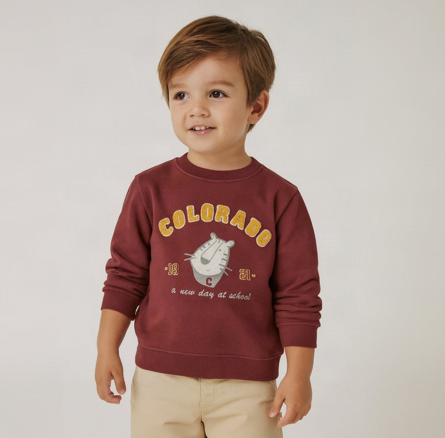 Colorado Kids' Classic Crewneck Sweatshirt