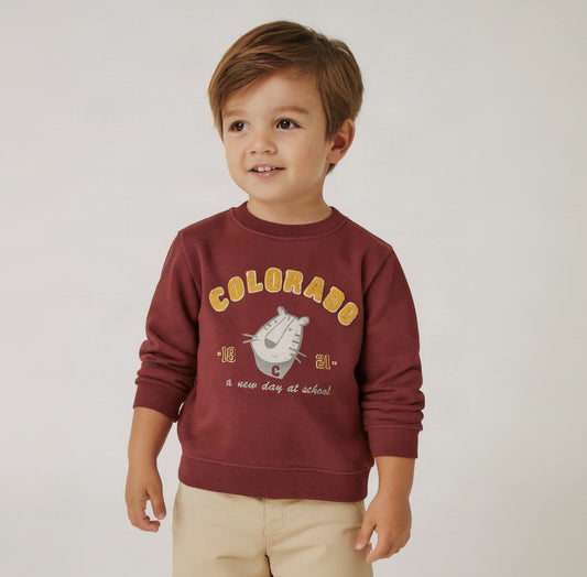Colorado Kids' Classic Crewneck Sweatshirt